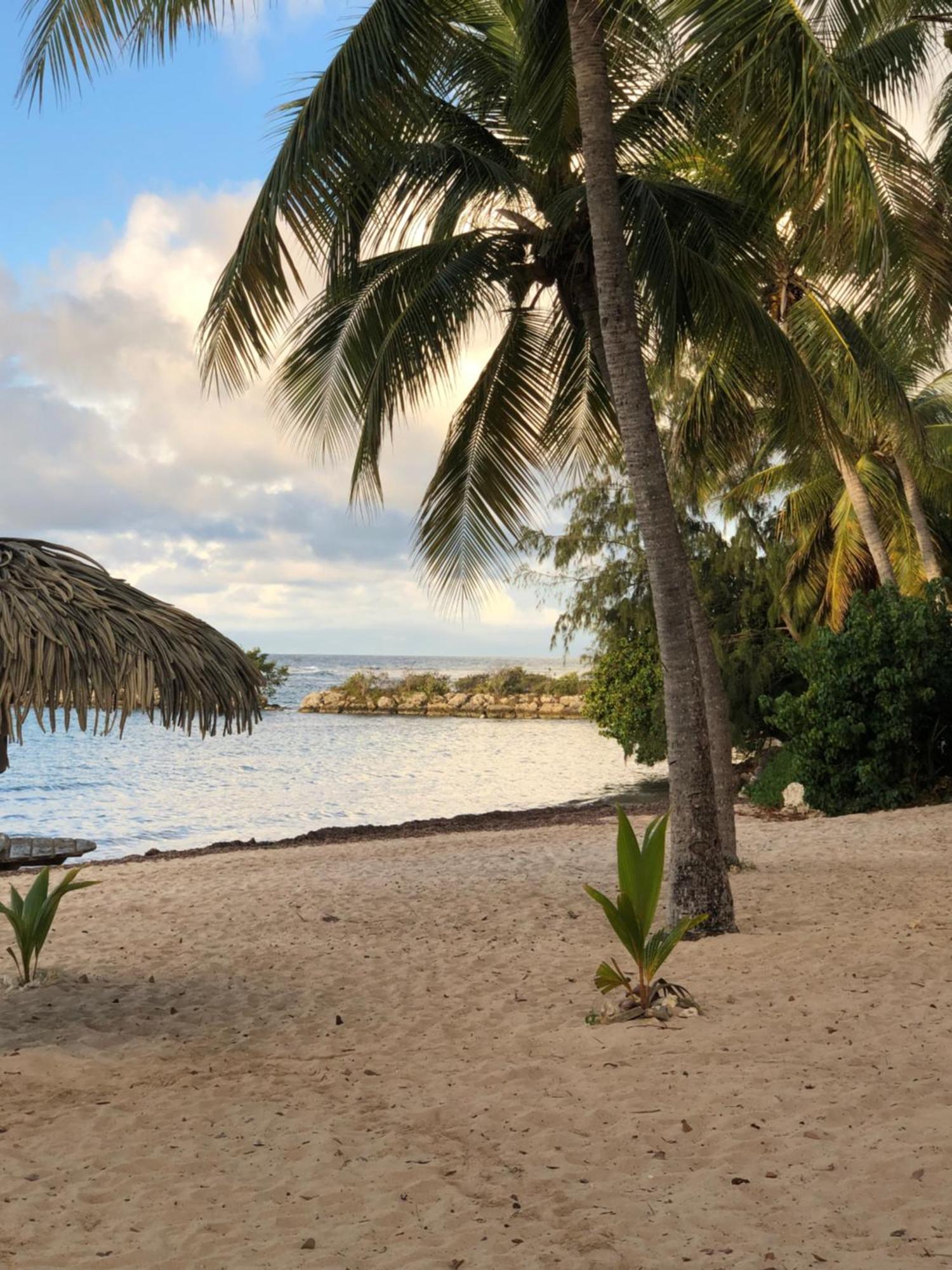 Studio Hibiscus Anse Des Rochers Saint Francois ภายนอก รูปภาพ