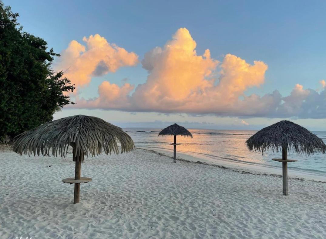 Studio Hibiscus Anse Des Rochers Saint Francois ภายนอก รูปภาพ