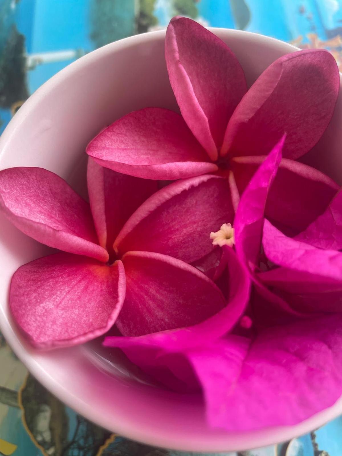 Studio Hibiscus Anse Des Rochers Saint Francois ภายนอก รูปภาพ