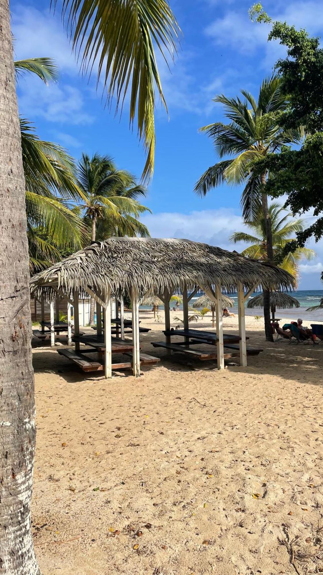 Studio Hibiscus Anse Des Rochers Saint Francois ภายนอก รูปภาพ