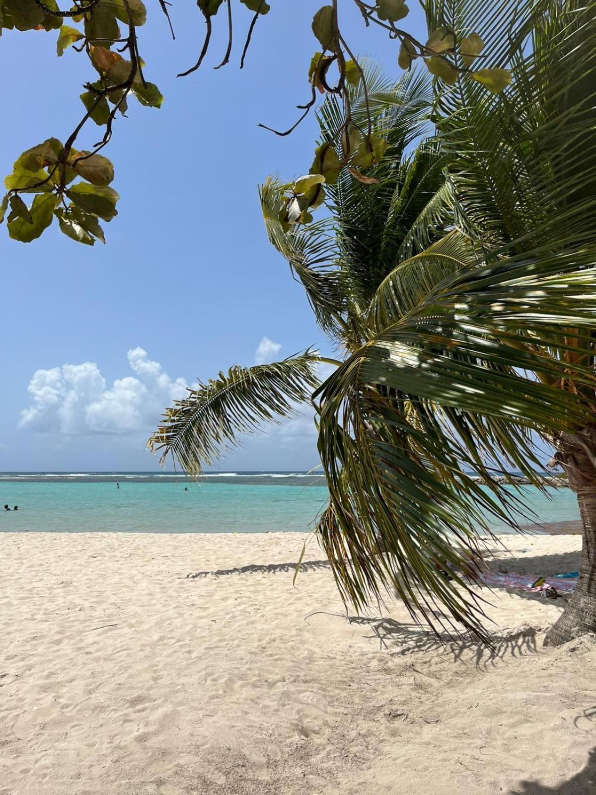 Studio Hibiscus Anse Des Rochers Saint Francois ภายนอก รูปภาพ