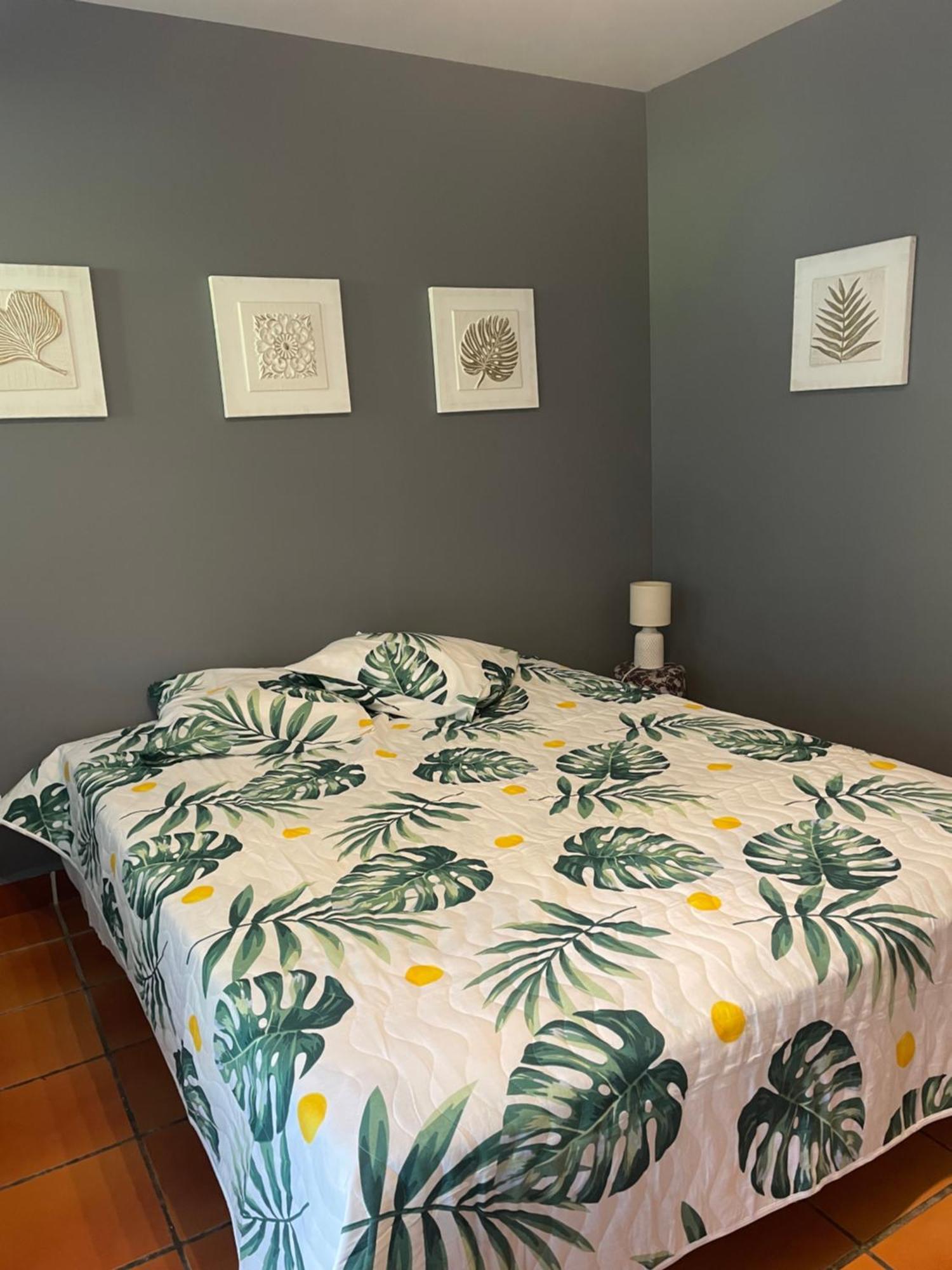 Studio Hibiscus Anse Des Rochers Saint Francois ภายนอก รูปภาพ